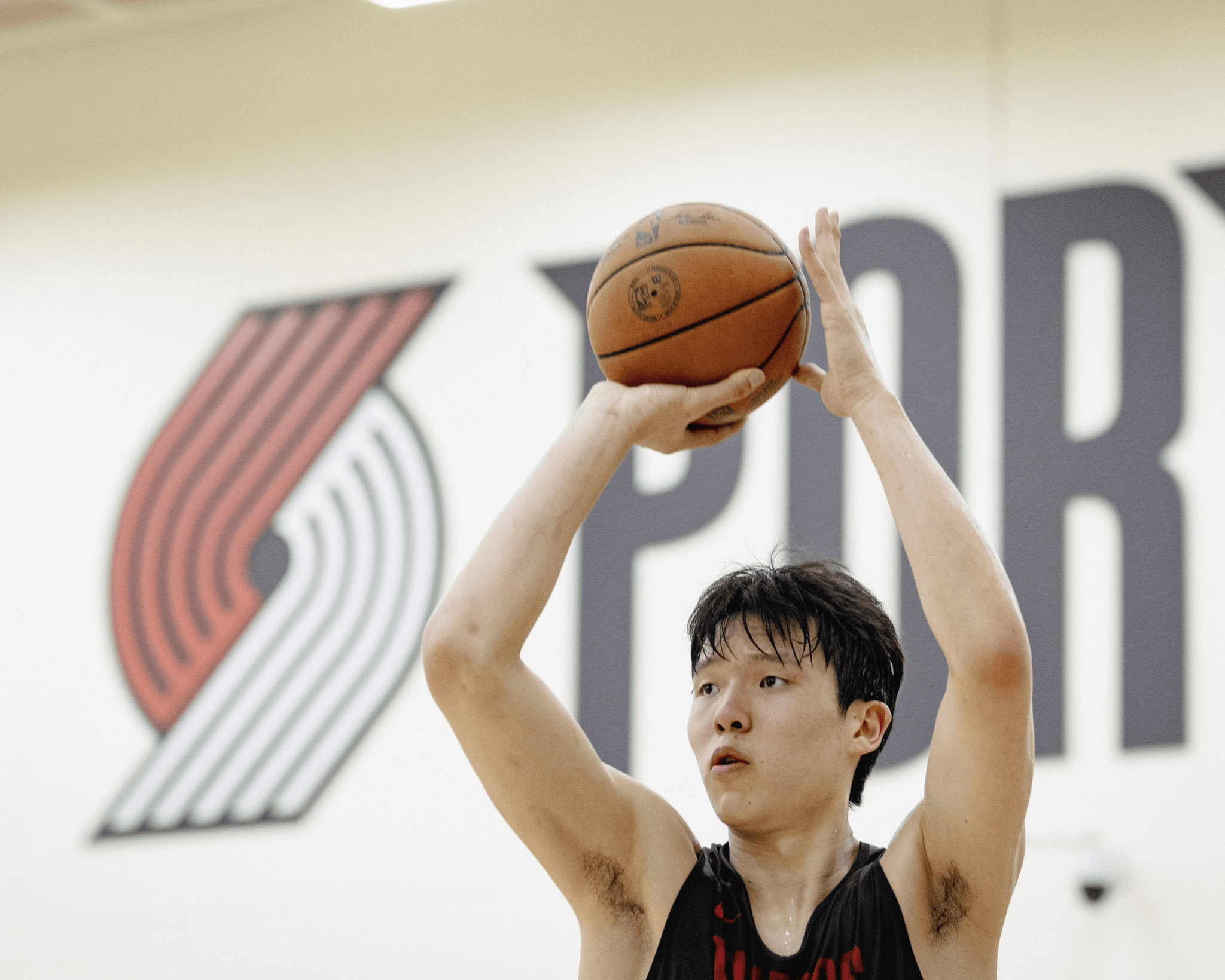 关于霍楠：会发牌&三分中锋极具价值，预测杨瀚森27或30签被选中的信息